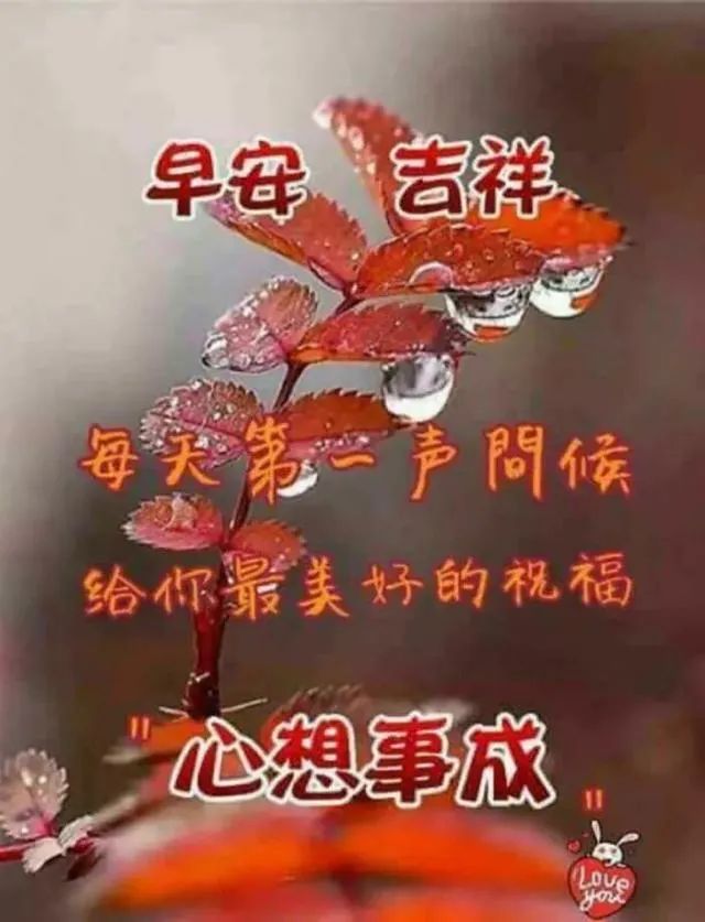 心灵鸡汤头像_头像鸡汤心灵鸡汤图片_鸡汤头像