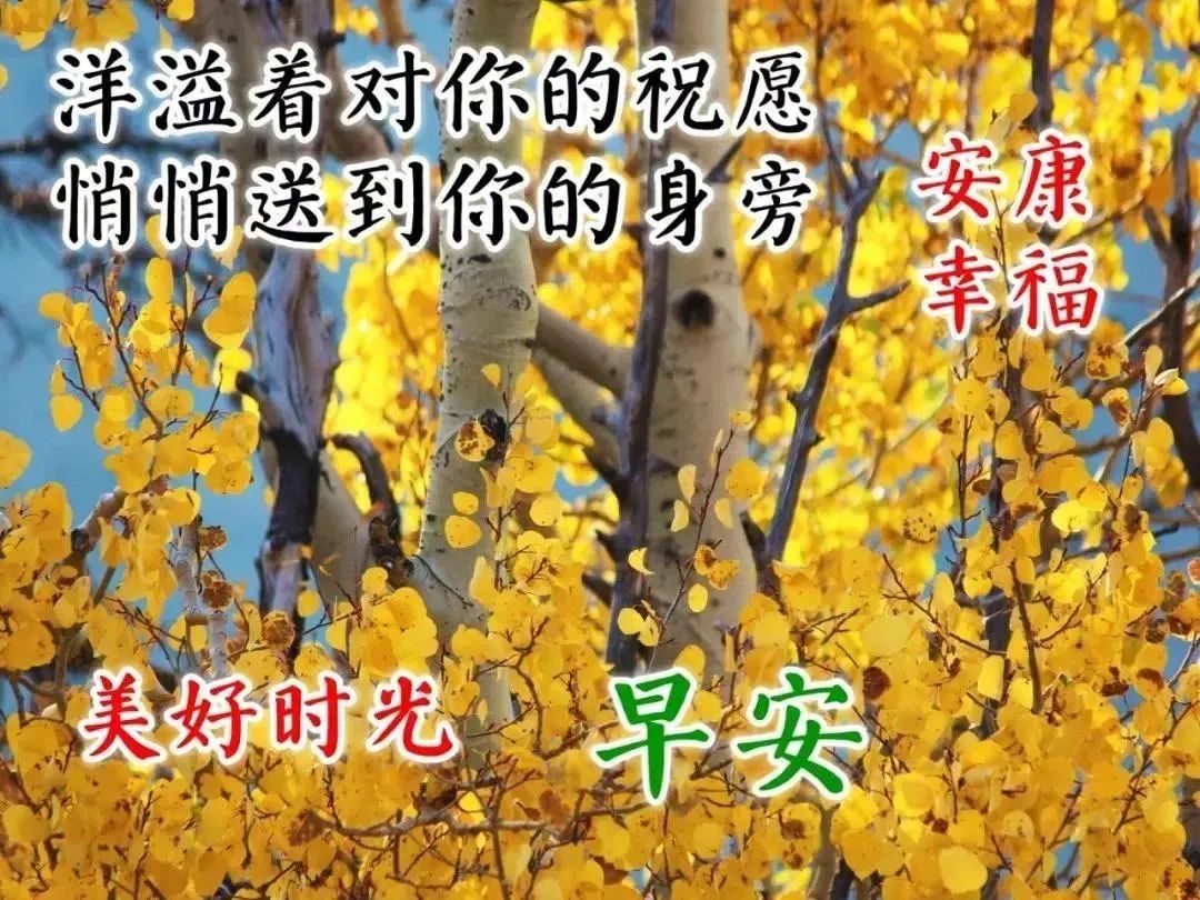 心灵鸡汤分享_心灵鸡汤的分享_分享心灵鸡汤的感想