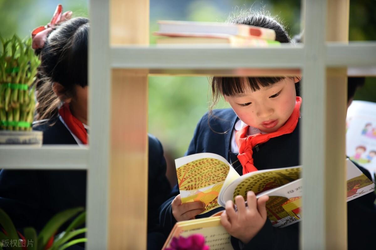 周国平 哲学 心灵鸡汤_周国平用哲学治愈_心灵鸡汤与哲学