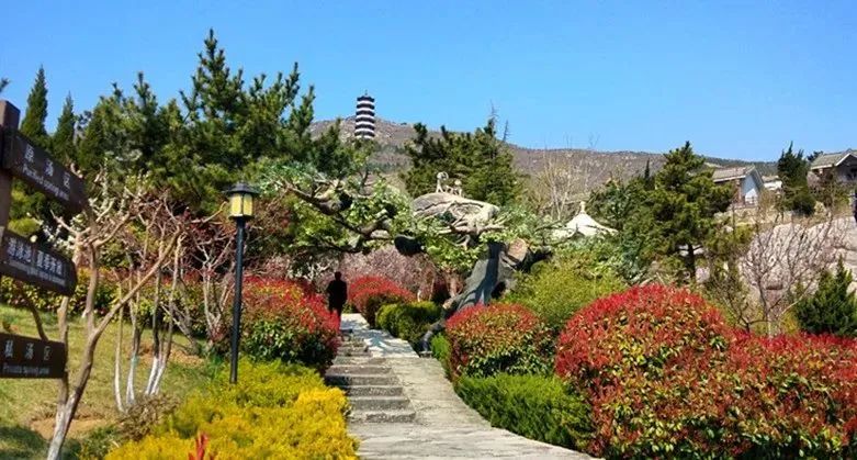 烟台海昌鲸鲨馆70周岁免费_烟台海昌鲸鲨馆儿童票_烟台海昌鲸鲨馆儿童门票
