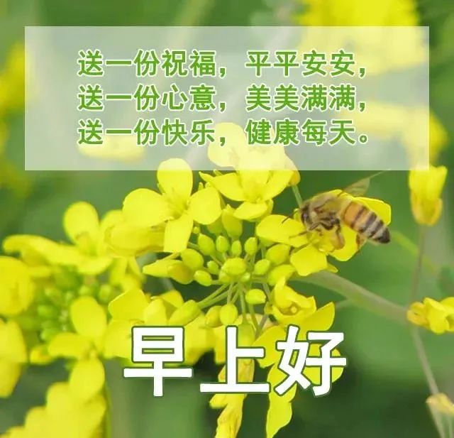 鸡汤心灵是什么意思_鸡汤心灵励志短视频_心灵鸡汤好不好