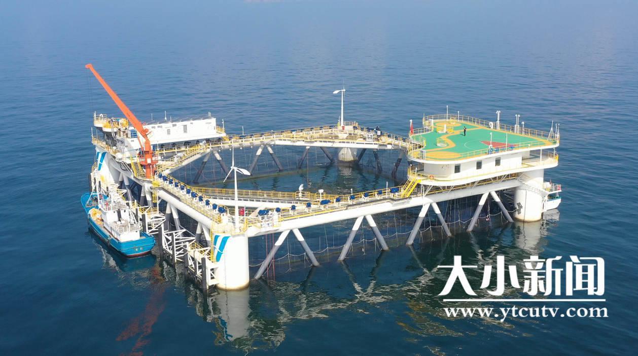烟台海洋牧场“百箱计划”入列第一方阵