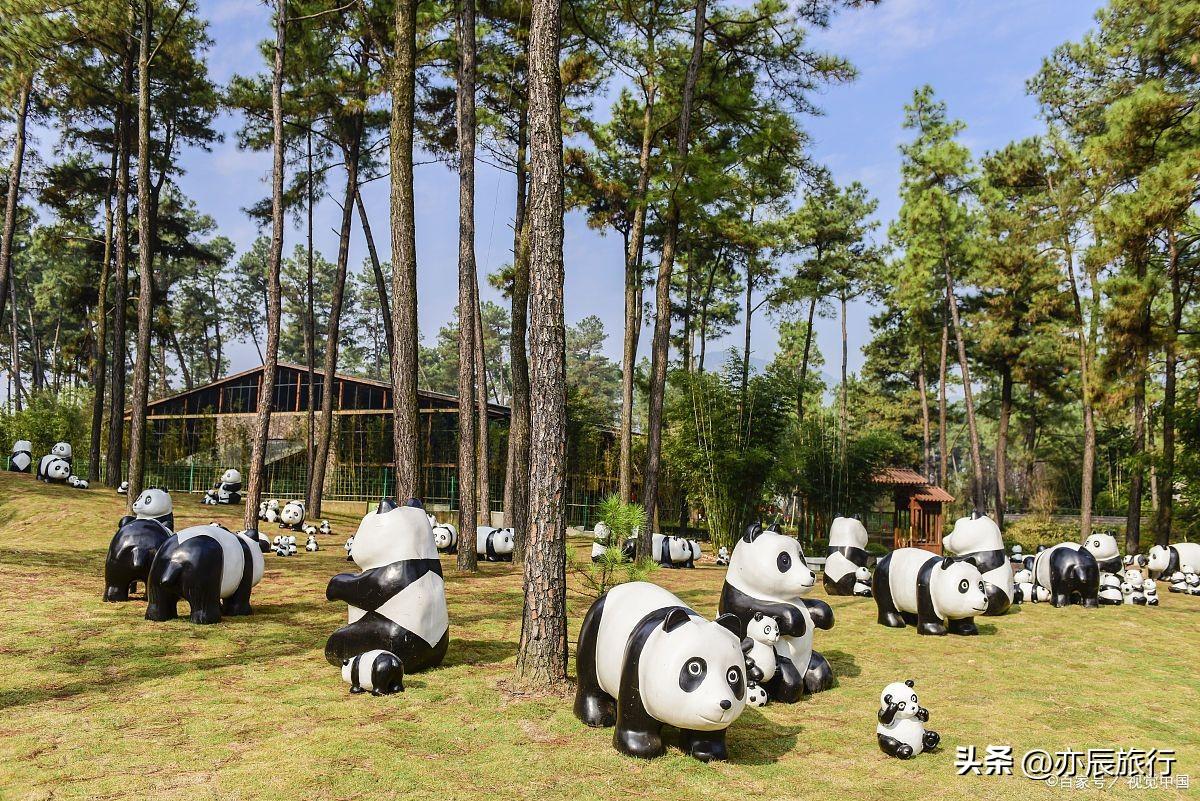 长兴仙山湖索道_长兴仙山湖风景怎么走_长兴仙山湖景区门票