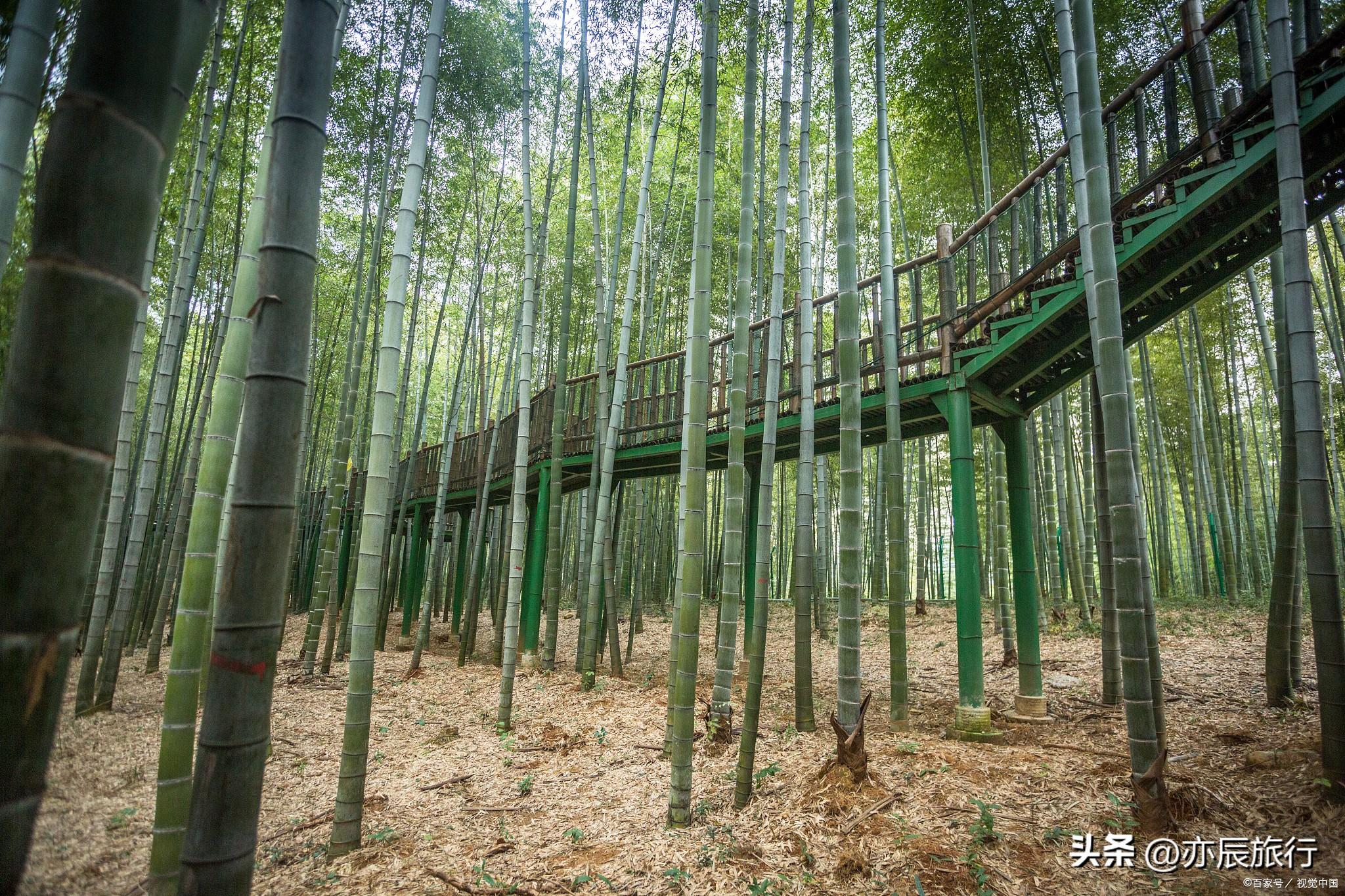 长兴仙山湖索道_长兴仙山湖景区门票_长兴仙山湖风景怎么走