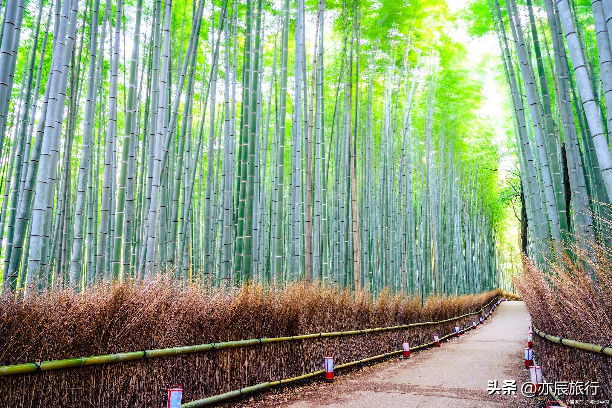 长兴仙山湖景区门票_长兴仙山湖索道_长兴仙山湖风景怎么走