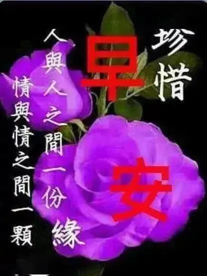 唯美鸡汤心灵图片素材_唯美鸡汤文字图片大全_心灵鸡汤唯美图片