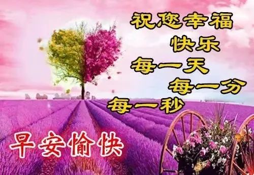 唯美鸡汤文字图片大全_唯美鸡汤心灵图片素材_心灵鸡汤唯美图片