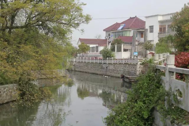 长兴梅花桩饭店_梅花庄在哪_长兴梅花庄