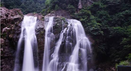 图影门票长兴人能打折吗_浙江长兴图影旅游度假区_长兴图影湿地门票