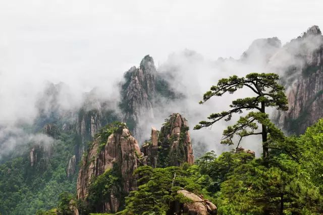 长兴图影湿地门票_浙江长兴图影旅游度假区_图影门票长兴人能打折吗