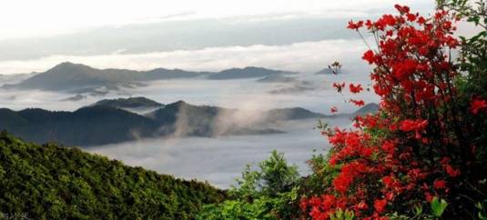 长兴图影湿地门票_浙江长兴图影旅游度假区_图影门票长兴人能打折吗