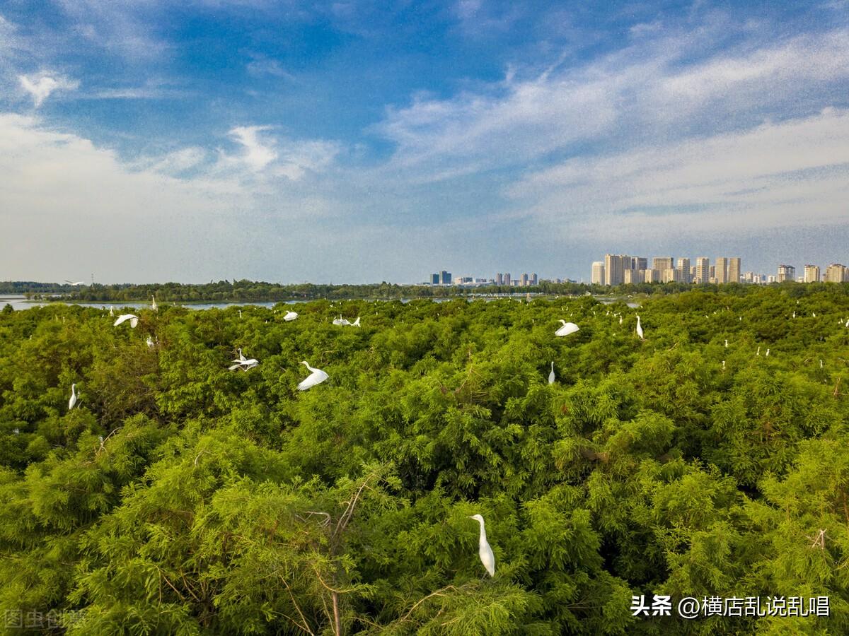 连云港赣榆未来房价_连云港赣榆房价会跌吗_连云港赣榆区未来房价走势