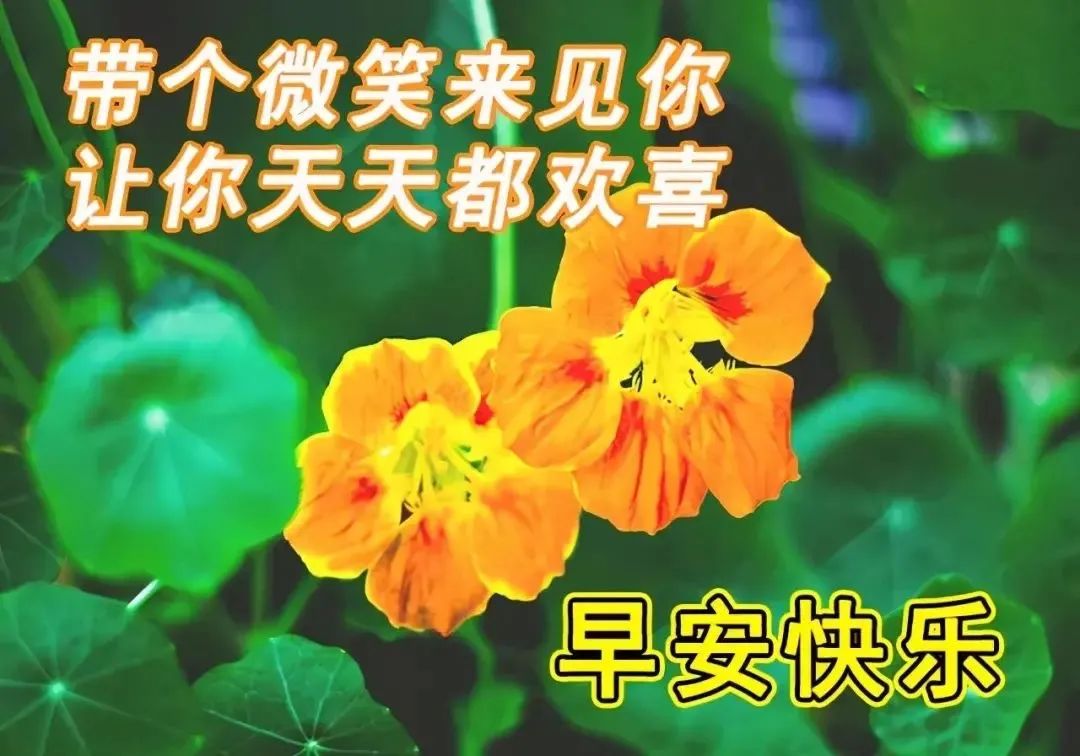 经典鸡汤能量语录_正能量心灵鸡汤文案_正能量心灵鸡汤带图