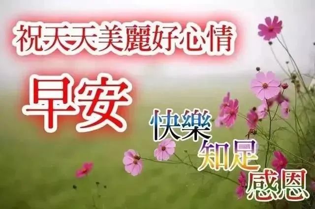 早上心灵的鸡汤句子温暖_早上心灵鸡汤句子_早上心灵鸡汤经典语录