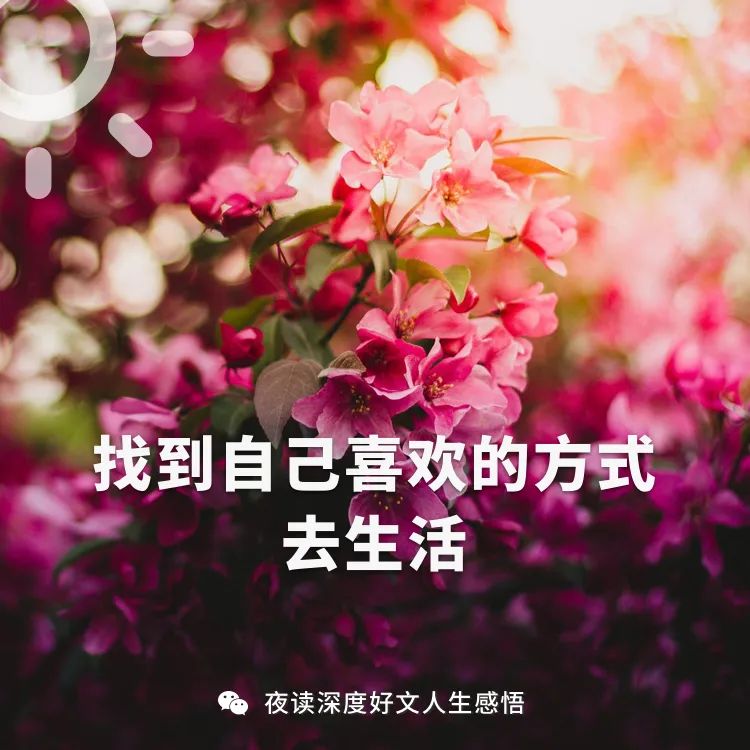 经典语录鸡汤_心灵鸡汤经典语录大全_简短精辟鸡汤语