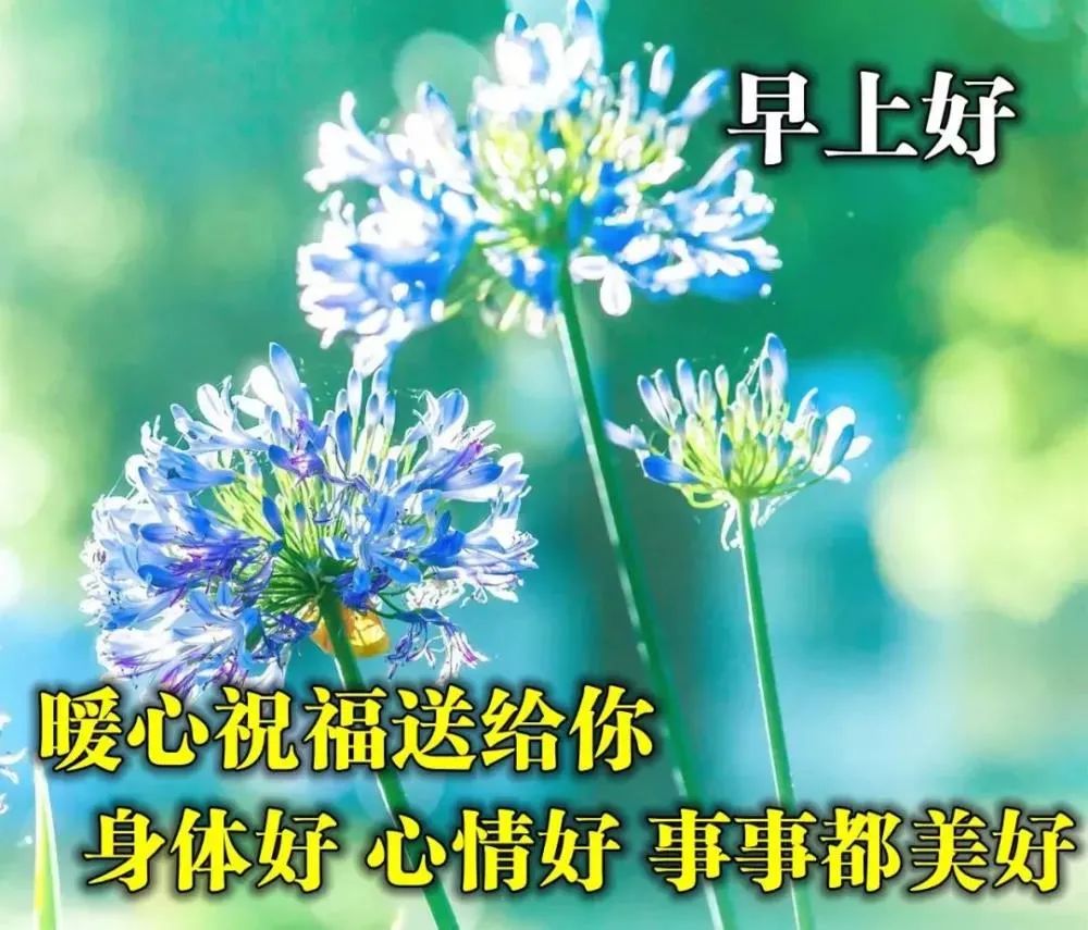 早晨鸡汤短句_早上心灵鸡汤经典语录_早上心灵的鸡汤句子温暖