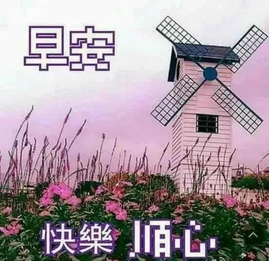 唯美心灵鸡汤短句_经典语录鸡汤_心灵鸡汤经典语录唯美