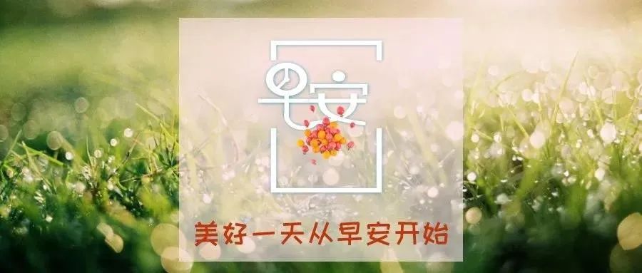 心灵鸡汤正能量散文_心灵鸡汤好文章_唯美的心灵鸡汤散文短篇