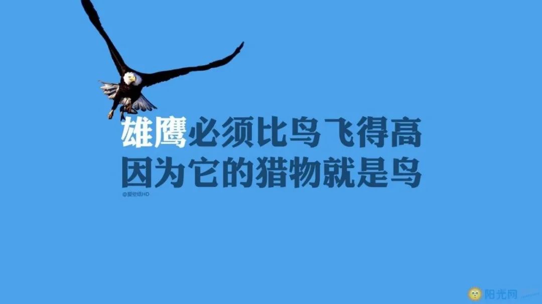 心灵鸡汤好文章_唯美的心灵鸡汤散文短篇_心灵鸡汤正能量散文