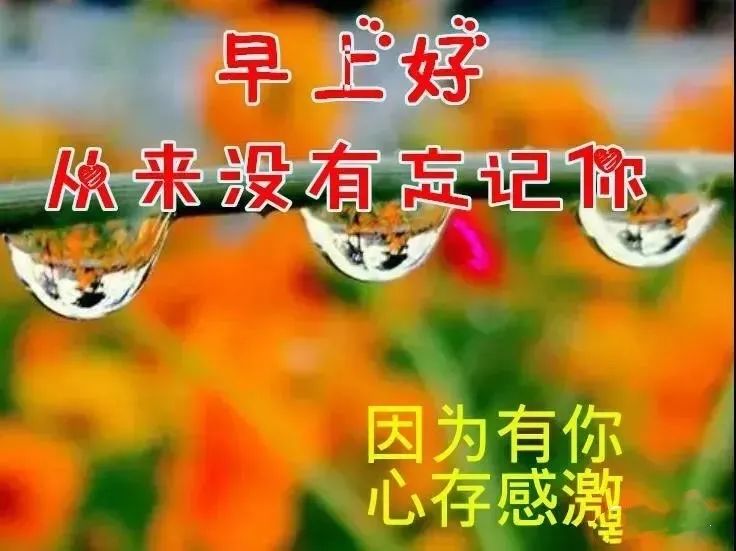 最好的经典语录鸡汤感悟人生_语录鸡汤大全心灵经典图片高清_心灵鸡汤经典语录图片大全