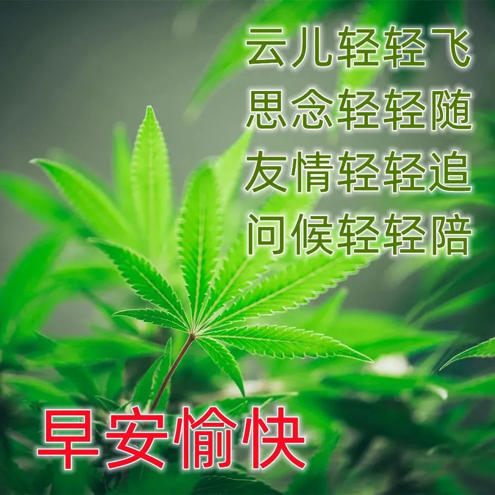 心灵鸡汤经典语录图片大全_语录鸡汤大全心灵经典图片高清_最好的经典语录鸡汤感悟人生