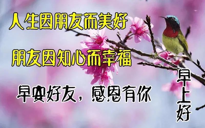 励志鸡汤心灵文章摘抄_励志心灵鸡汤短文_心灵鸡汤励志文章