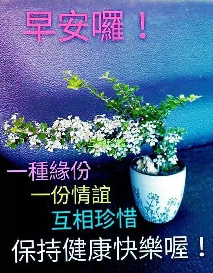 心灵鸡汤图片带字_鸡汤心灵简短_鸡汤心灵语录手写图片