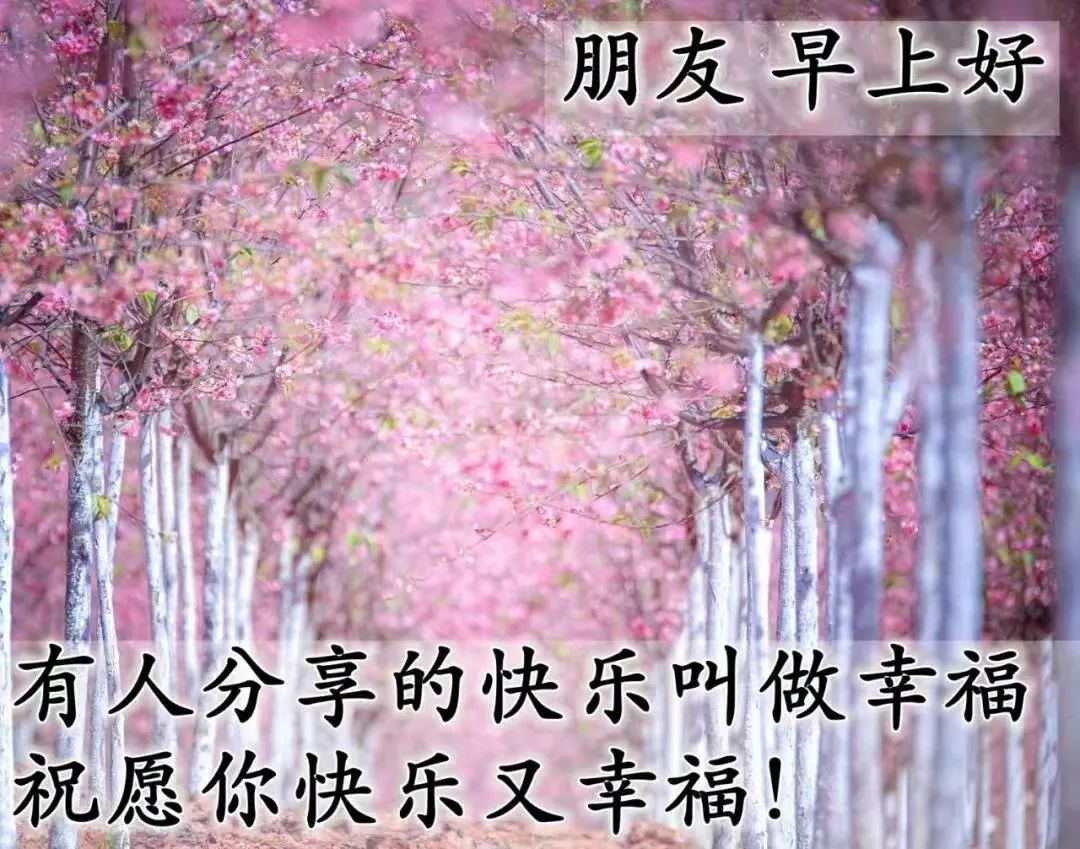 心灵鸡汤图片带字_鸡汤心灵语录手写图片_鸡汤心灵简短