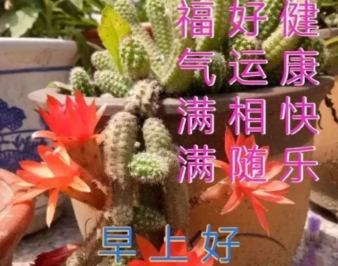 心灵鸡汤说说_鸡汤句子_鸡汤唯美感悟句子