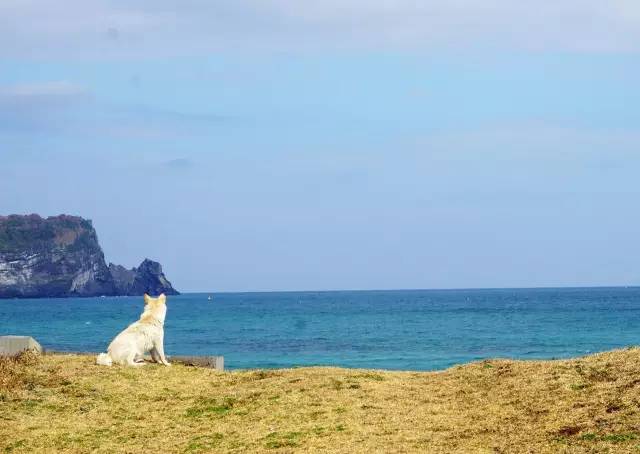 旅行鸡汤文案_心灵鸡汤旅行_旅行心灵鸡汤经典语录