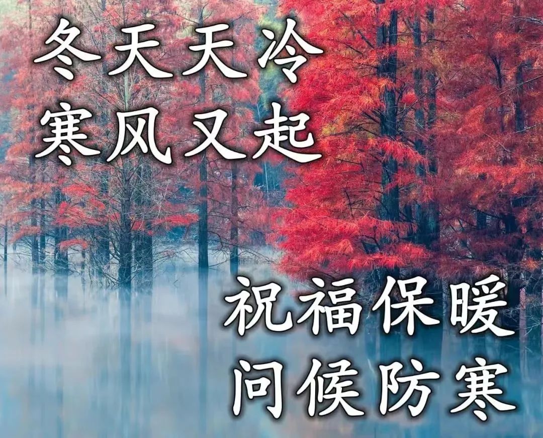 励志心灵鸡汤语录短句_励志生活的心灵鸡汤短句_心灵鸡汤生活励志语录