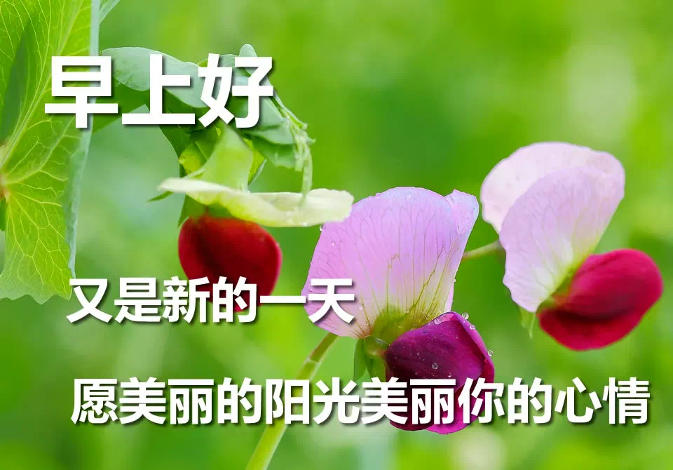 励志心灵鸡汤语录短句_励志生活的心灵鸡汤短句_心灵鸡汤生活励志语录