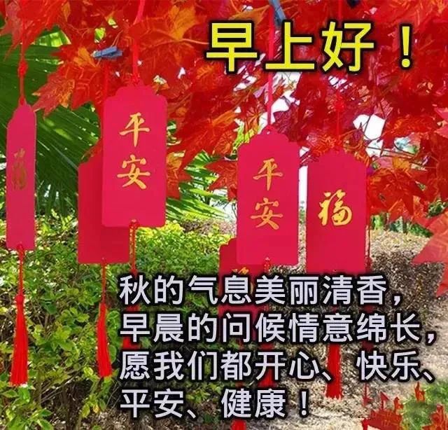 经典语录鸡汤_鸡汤语录励志100_心灵鸡汤经典语录附图