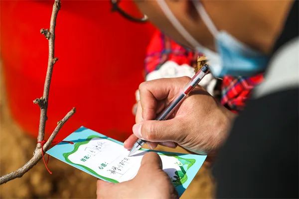 烟台农业银行工作怎么样_谁在烟台农业银行工作_烟台农业银行工作时间