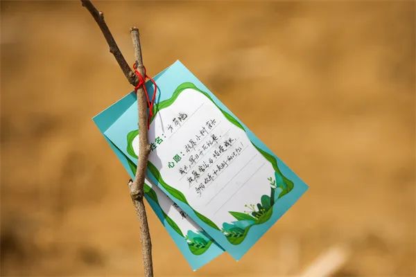 烟台农业银行工作时间_烟台农业银行工作怎么样_谁在烟台农业银行工作