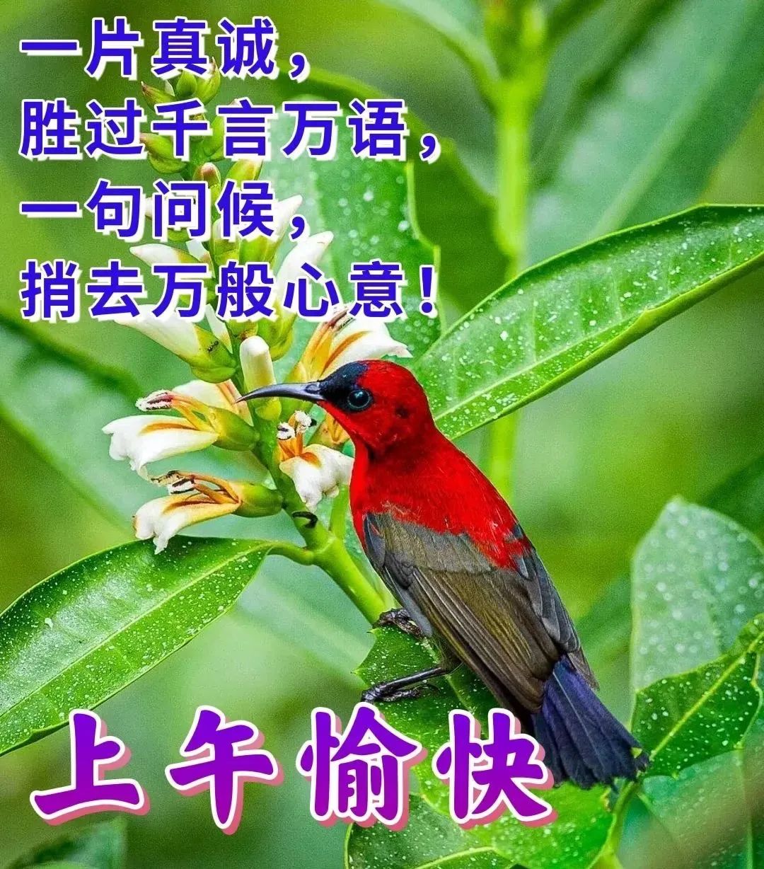 励志鸡汤心灵文章素材_励志心灵鸡汤文章_励志鸡汤心灵文章大全