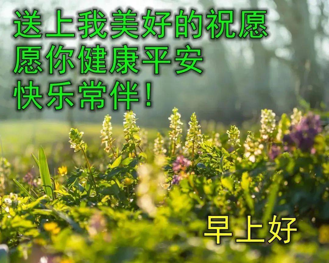 正能量爱情心灵鸡汤_心灵鸡汤爱情语录短句_心灵鸡汤爱情篇