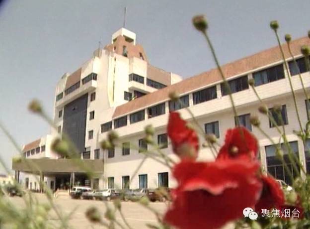 烟台电视台社会广角主持人名单_烟台电视台 社会广角_烟台电视台社会广角2024