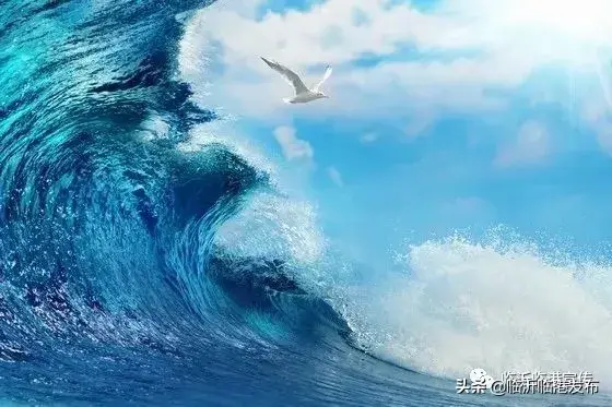 （鲲鹏之志）临沂临港：十年临港十年征程