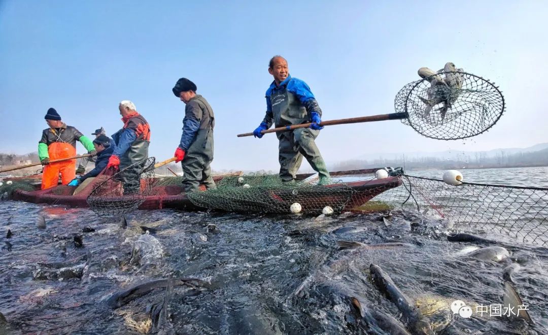 烟台水产招聘信息_烟台水产招聘信息网_烟台水产招聘