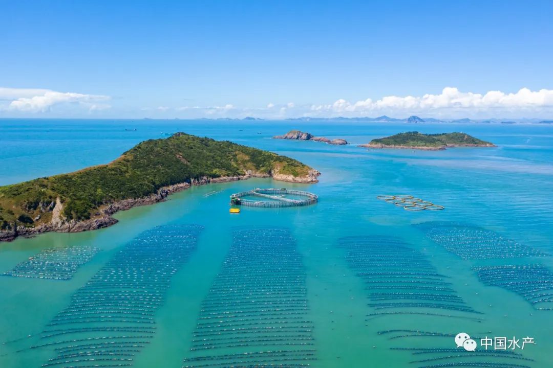 烟台水产招聘信息_烟台水产招聘信息网_烟台水产招聘
