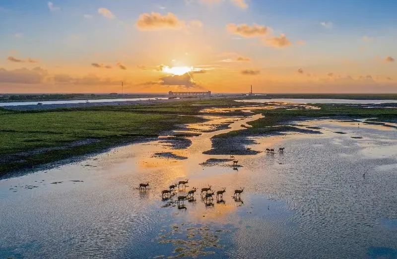 生态环境部发布第二批美丽海湾优秀案例名单，盐城大丰川东港上榜