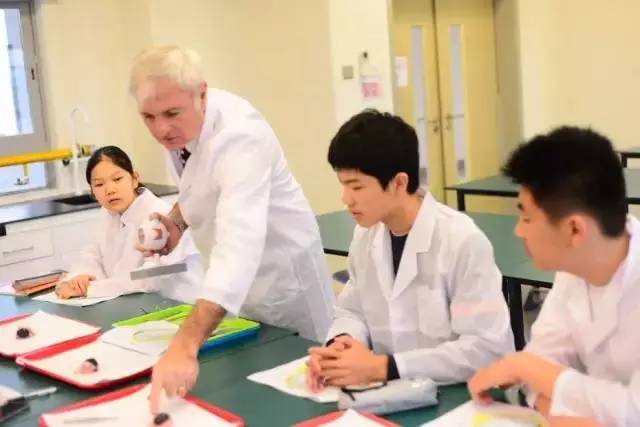 烟台耀华国际教育学校招聘_烟台市耀华国际教育学校_烟台耀华国际学校招聘信息