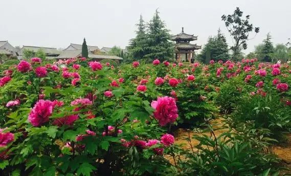 烟台到杭州机票多少钱_杭州到烟台机票_烟台到杭州机票查询