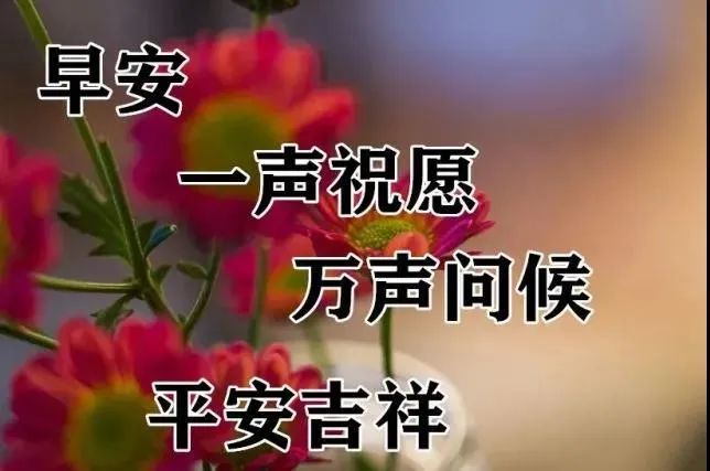 心灵鸡汤的图片带字_心灵鸡汤图片带字_鸡汤心灵简短