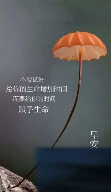 鸡汤心灵语录手写图片_鸡汤心灵配图_心灵鸡汤照片