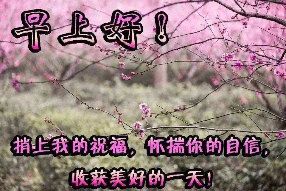 励志鸡汤心灵短句_励志心灵鸡汤语录_励志心灵鸡汤长句