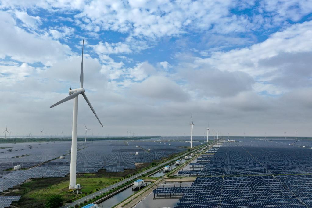 绿色赋能“风”“光”迤逦江苏盐城新能源产业发展一线见闻