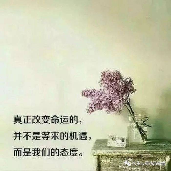 黑暗心灵鸡汤_心灵黑鸡汤是什么意思_黑暗心灵鸡汤段子