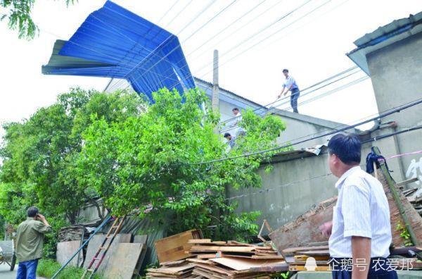 彩钢民用房_居民私建彩钢房_彩钢民房建造